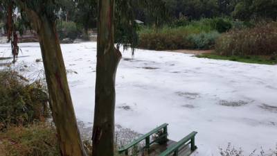 Река Яркон покрылась ядовитой белой пеной после первых осенних ливней