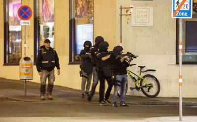 В связи с терактами в Вене двух человек задержали в Швейцарии