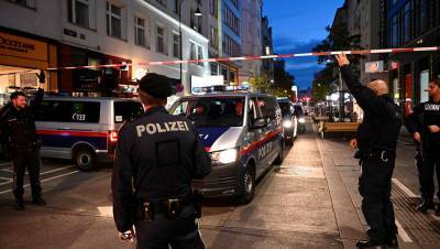 Глава МВД Австрии подтвердил, что устроивший теракт в Вене действовал в одиночку