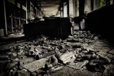 В зоне Чернобыльской АЭС задержали грибников