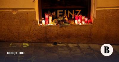 МВД Австрии подтвердило версию о террористе-одиночке в Вене