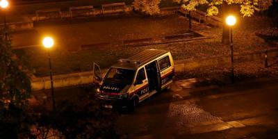 Теракт в Вене: преступник действовал в одиночку — МВД