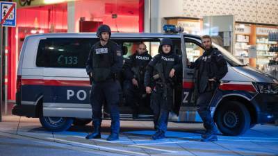 Австрийское МВД признало прокол с венским террористом