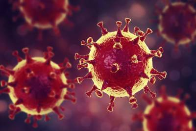 В новой статистике по коронавирусу в регионе наблюдается снижение