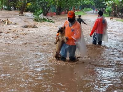 В Центральной Америке бушует ураган «Эта», есть жертвы
