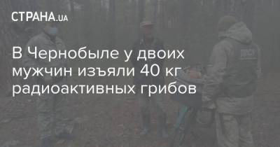 В Чернобыле у двоих мужчин изъяли 40 кг радиоактивных грибов