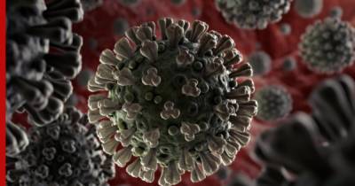 Найдена самая «неуязвимая» перед коронавирусом часть тела