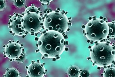 В 11 районах Смоленской области обнаружили новых больных коронавирусом