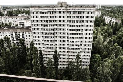 Двое мужчин собрали 40 кг радиоактивных грибов в Чернобыле