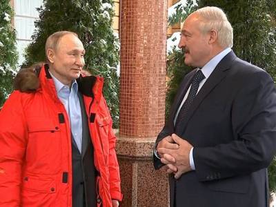 СМИ узнали о телефонном разговоре Путина и Лукашенко