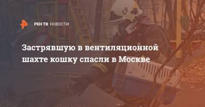 Застрявшую в вентиляционной шахте кошку спасли в Москве