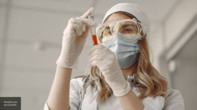В Дании уничтожат норок, чтобы остановить новую мутацию коронавируса