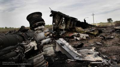 Адвокат подозреваемого по делу MH17 усомнилась в надежности свидетелей
