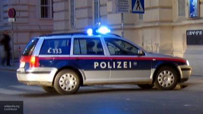 МВД Австрии признало ошибку в передаче данных по венскому террористу
