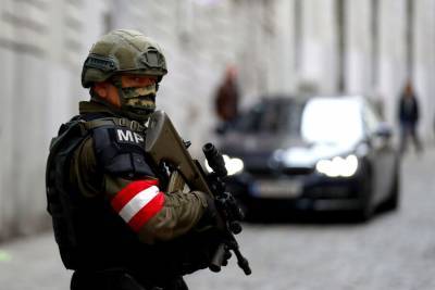Среди задержанных по делу о теракте в Вене есть выходцы из России