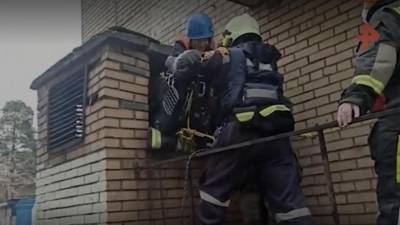 В Москве добровольцы-спасатели вызволили из вентиляционной шахты кошку