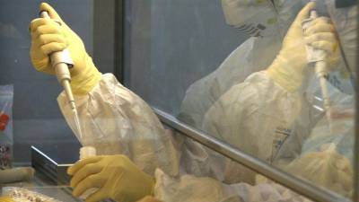 В Канаде у человека обнаружили редкий штамм свиного гриппа