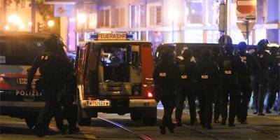 Среди задержанных по делу о теракте в Вене есть граждане России