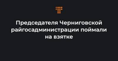 Председателя Черниговской райгосадминистрации поймали на взятке