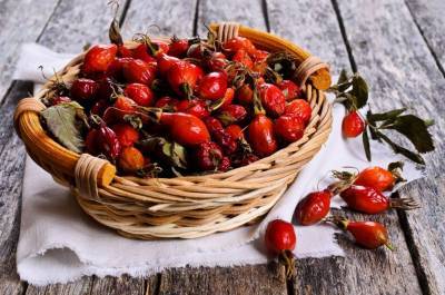 Чем полезны плоды шиповника и что можно из них приготовить?