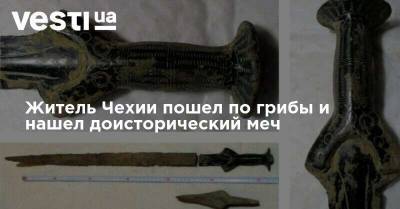 Житель Чехии пошел по грибы и нашел доисторический меч