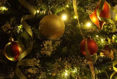 Город Обь потратит более 300 тысяч рублей на новогоднюю елку