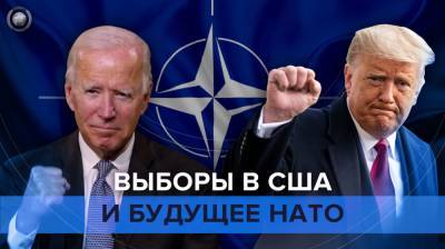 Будущее НАТО не зависит от Трампа и Байдена