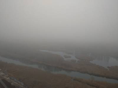 Опасный туман. В четверг в Ульяновской области будет плохо видно