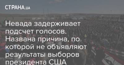 Невада задерживает подсчет голосов. Названа причина, по которой не объявляют результаты выборов президента США