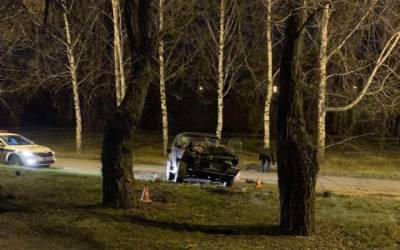 В Кузбассе водитель иномарки врезался в дерево, уходя от автомобиля ГИБДД