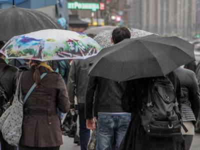 Петербуржцам рекомендуют поберечь зонты от ветра
