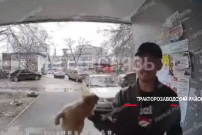 В Челябинске мужчина едва не убил собаку об подъездную дверь