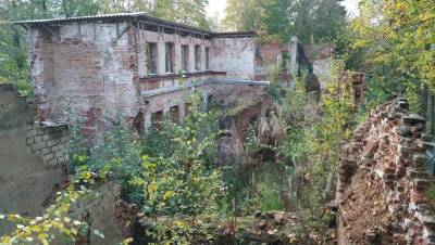 Руины усадьбы Зубовых "Отрада" в Ломоносове продают в интернете
