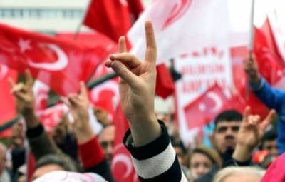 Турция пообещала Франции «жёсткий ответ» после запрета «Серых волков»