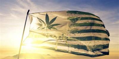 Жители четырех штатов США проголосовали за легализацию марихуаны