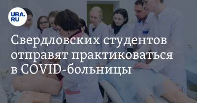 Свердловских студентов отправят практиковаться в COVID-больницы