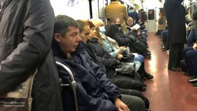 Поезда остановились на синей ветке петербургского метро