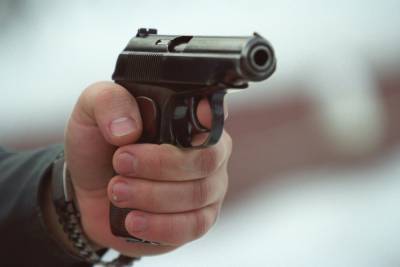 В полиции Астрахани прокомментировали факт применения табельного оружия в отношении животного
