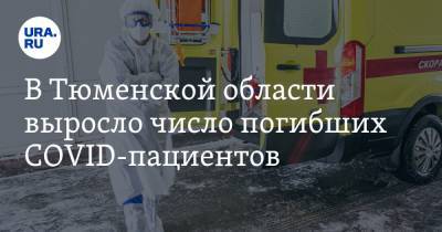 В Тюменской области выросло число погибших COVID-пациентов