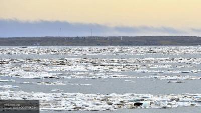 Океанолог опроверг информацию, что море Лаптевых перестало замерзать