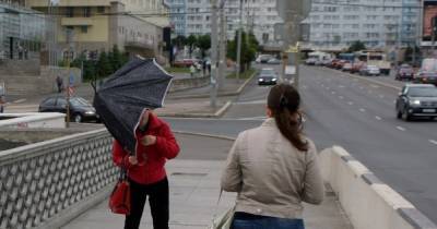 В Калининграде после обеда в четверг усилится ветер