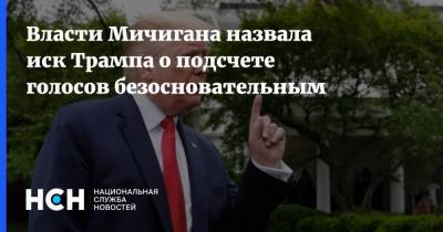 Власти Мичигана назвала иск Трампа о подсчете голосов безосновательным