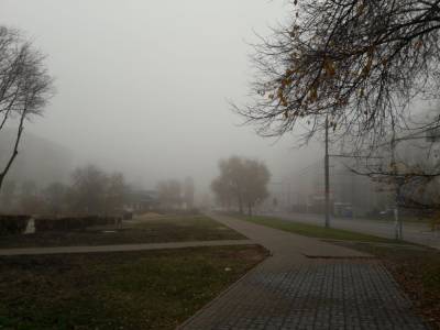 Из-за густого тумана в Воронежской области объявлен жёлтый уровень опасности