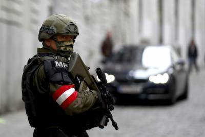 В посольстве РФ перепроверяют данные о россиянах среди задержанных после теракта в Вене