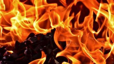 В Новосибирской области в пожаре погибли двое взрослых и три ребенка