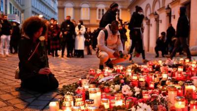 Полиция Вены назвала гражданства причастных к теракту возле синагоги Россия в списке