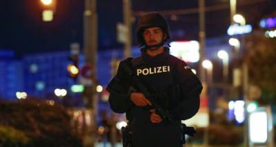 "Перед Европой стоит общий вызов": Курц призвал другие страны к борьбе с терроризмом