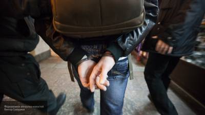 Полиция задержала подозреваемых по делу об убийстве школьницы в Красноярске