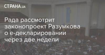 Рада рассмотрит законопроект Разумкова о е-декларировании через две недели