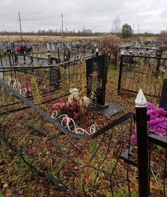 В Оленино Тверской области вандалы погнули ограды и повалили деревья на кладбище